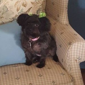 Meet your Posher, Danny